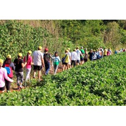 Caminhada na Natureza acontecerá em Campo Largo no mês de outubro
